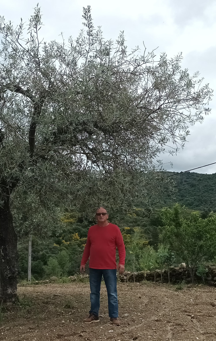 Pedra do olival, producteur d'huile d'olive extra vierge biologique